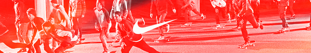Nike Sb