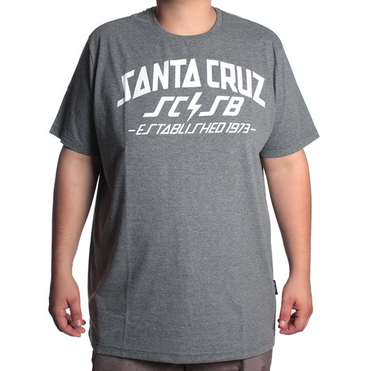 Camiseta Santa Cruz Big Hq Chumbo Mescla