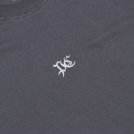 Camiseta Plano C. Pc Holographic Grafite