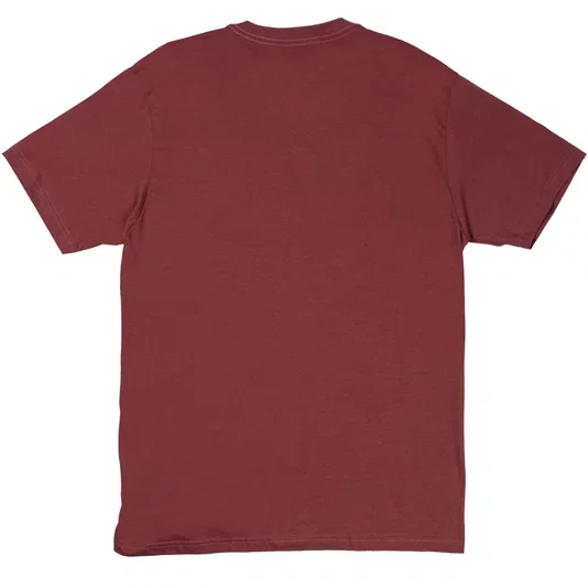 Camiseta Thrasher Anti Hero Pigeon Mag Marrom