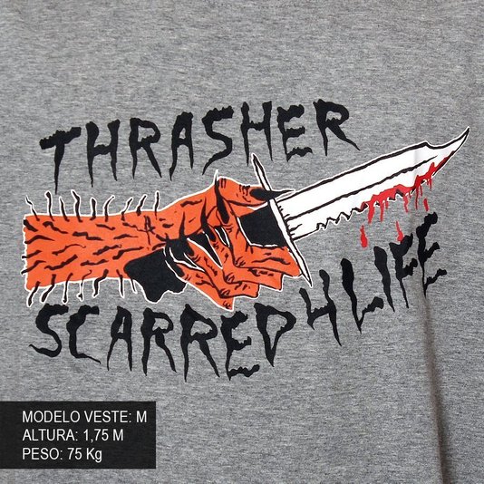 Camiseta Thrasher Magazine Scarred Mescla