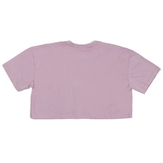 Camiseta Volcom Hang It Up Feminina Rosa