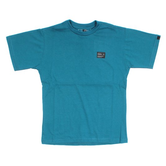 Camiseta O`neill Groundswel Infantil Azul