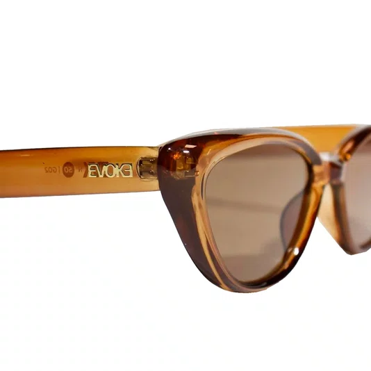 Óculos Evoke Evk 50 G02 Marrom