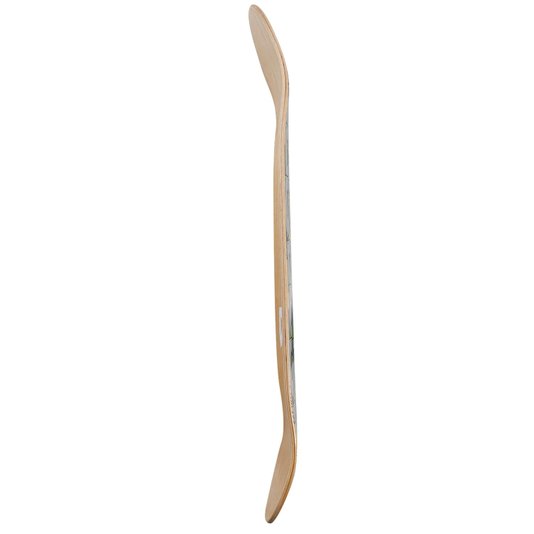Shape Creature Powerlyte Catacomb Relic Lg Roxo/Laranja