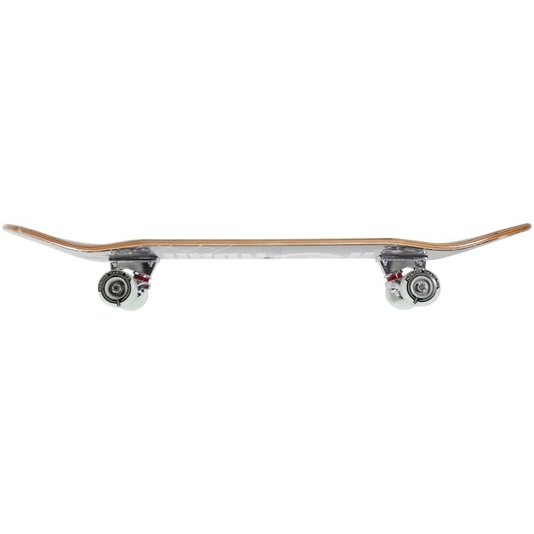 Skate Montado Hondar Iniciante Logo Prata/Transparente