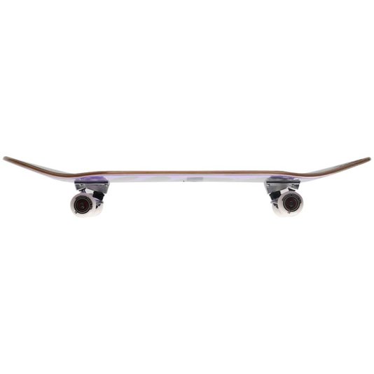 Skate Montado Hondar Série Goop Iniciante Roxo/Prata