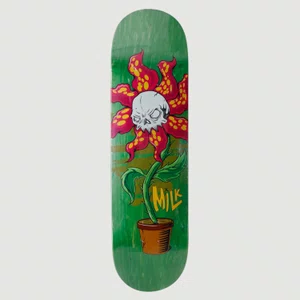 Shape Milk X Ratones Flower Maple Verde