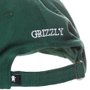 Boné Grizzly Dad Hat OG Bear Logo Verde