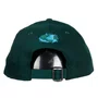 Boné New Era 940 Earth Day Start Today Verde
