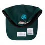 Boné New Era 940 Earth Day Start Today Verde