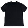 Camiseta Grizzly Down The Middle Preto