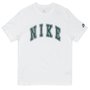 Camiseta Nike Sb Tee Club Ssnl Off White/Verde