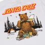 Camiseta Santa Cruz Braun Great Outdoors Ss Branco