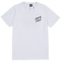 Camiseta Santa Cruz Especial Daylight Dot Branco