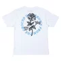 Camiseta Vans Ground Up Ss Branco