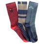 Meia Nike Sb Everyday Max Lightweight 144n 3 Pack  Vermelho/Azul/Bege