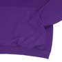 Moletom High Company Sport Hoodie Roxo