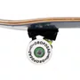 Skate Montado Rock City X Drop Dead Logo Iniciante Azul